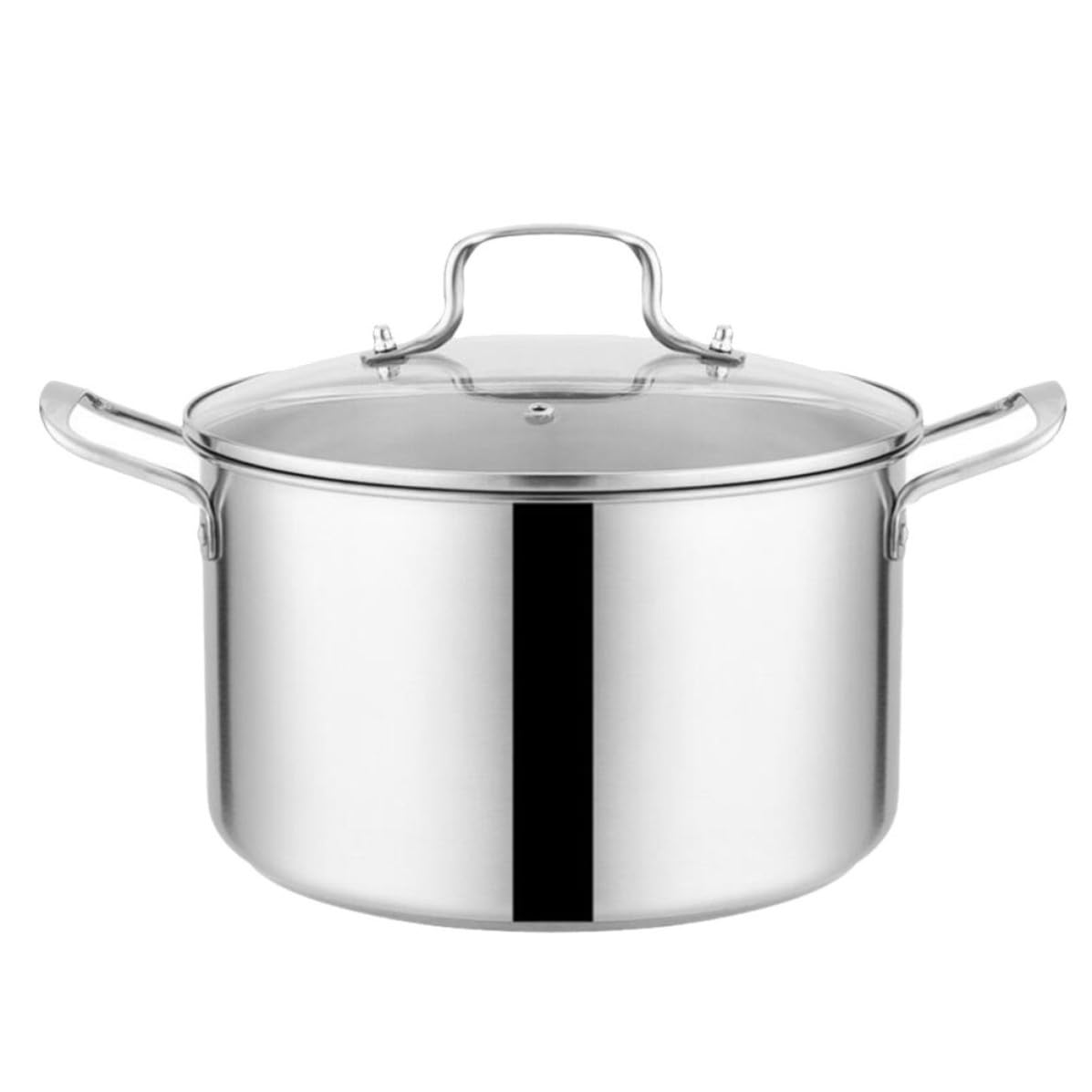Stainless Steel Stockpot T219551