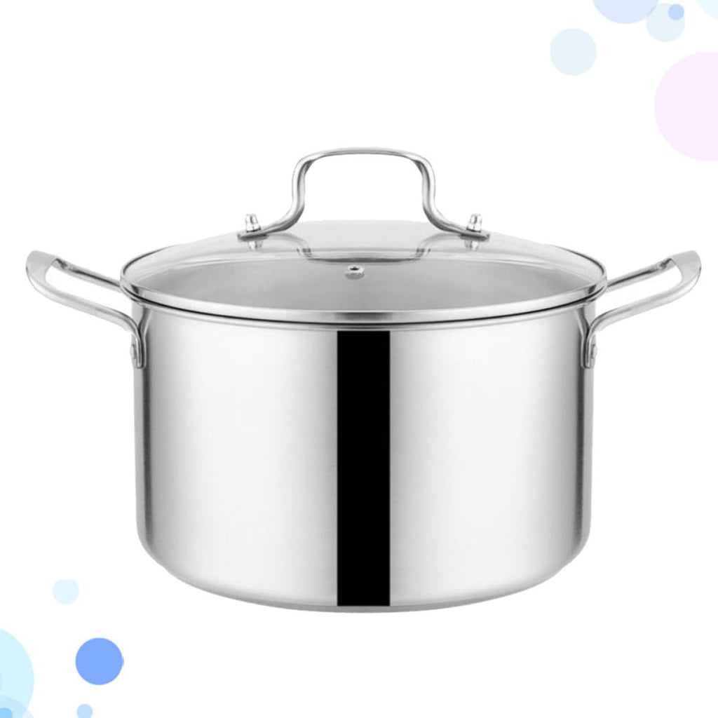 Stainless Steel Stockpot T219551