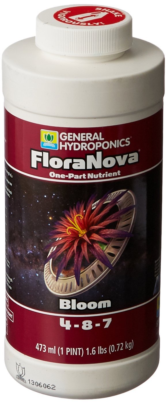 1 Pint White Flora Nova Bloom B4332