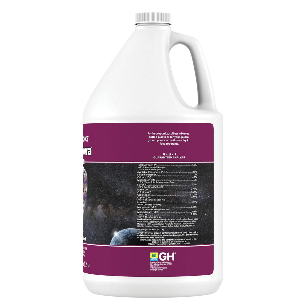 1 Pint White Flora Nova Bloom B4332