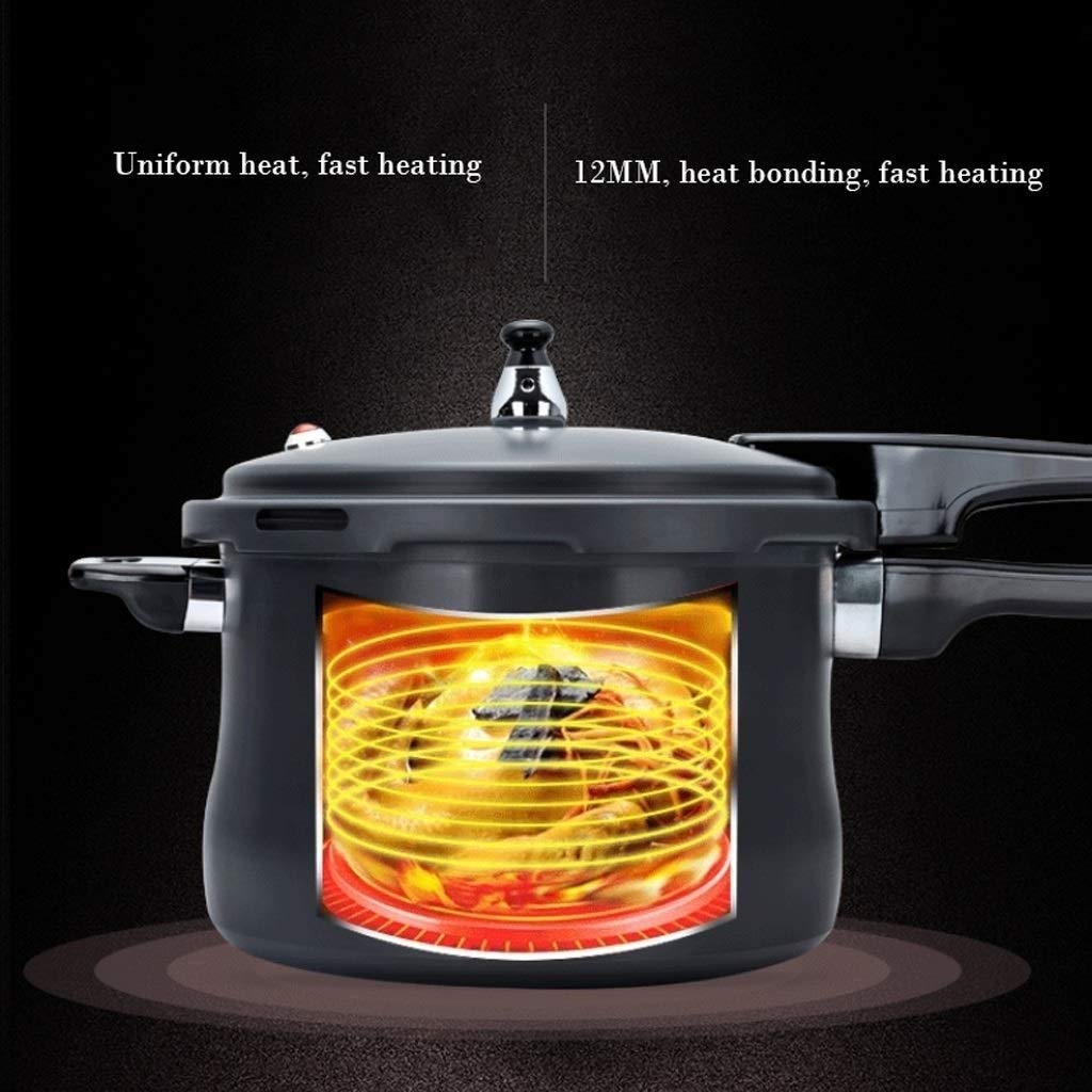 Black 3L Stainless Steel Pressure Cooker Y4136