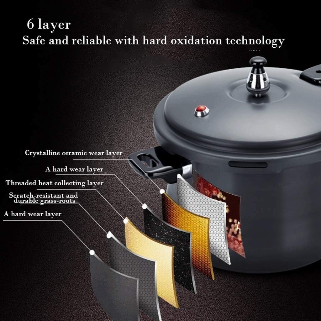 Black 3L Stainless Steel Pressure Cooker Y4136