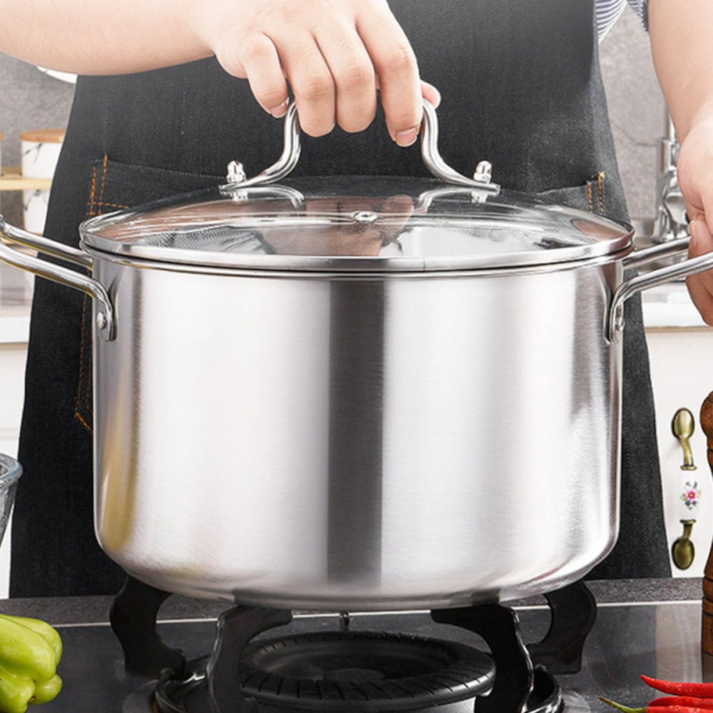 Stainless Steel Stockpot T219551