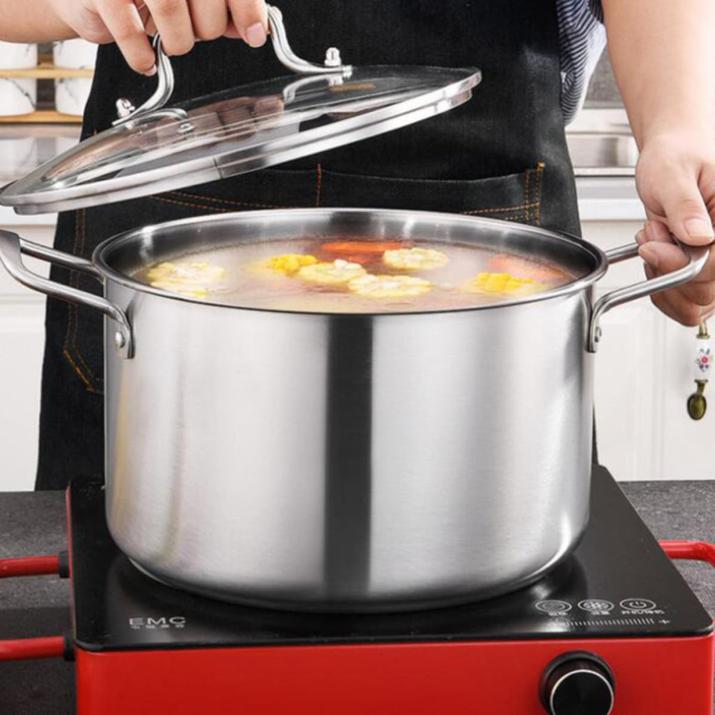 Stainless Steel Stockpot T219551