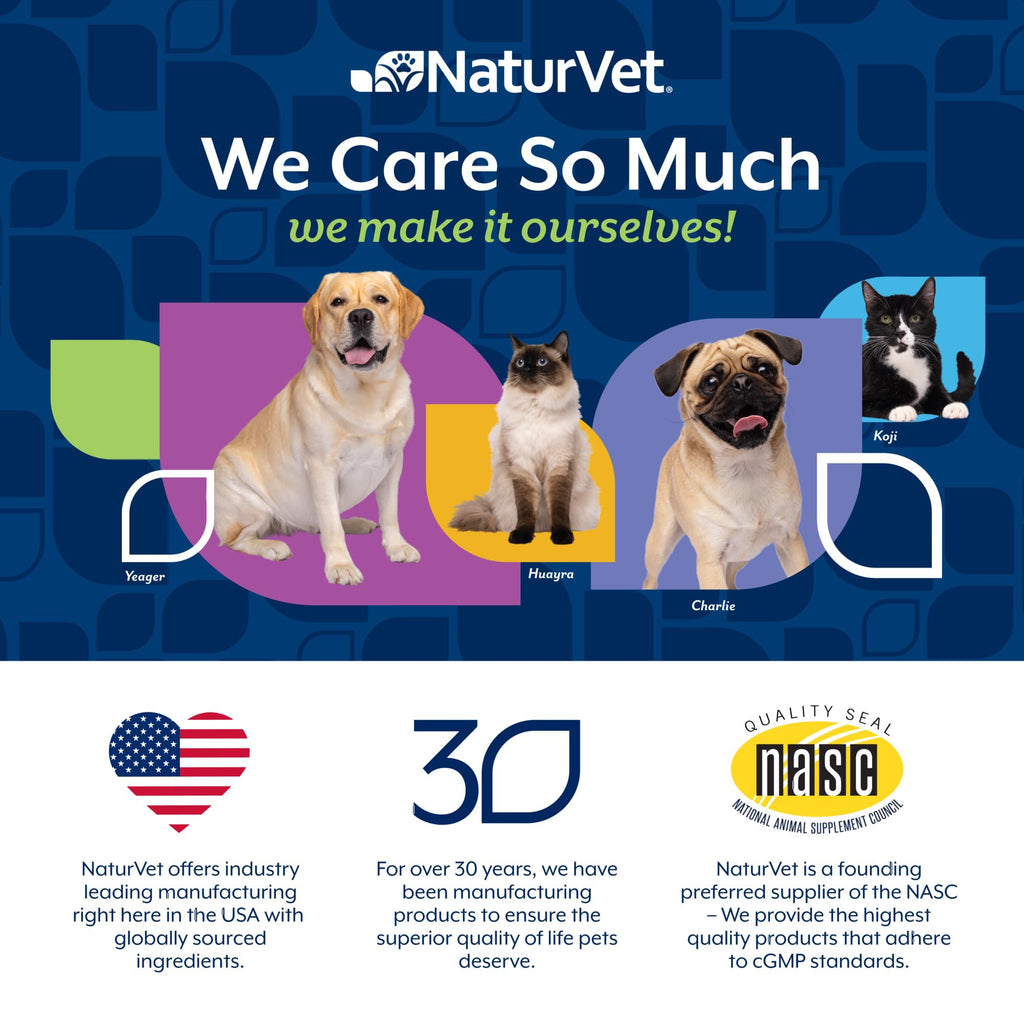 Hairball Aid Supplement for Cats Soft Chews C606
