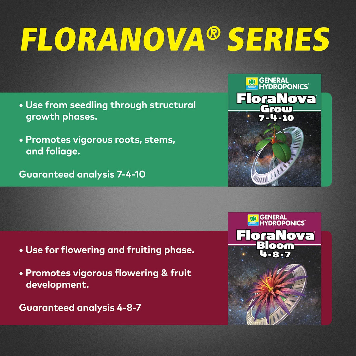 1 Pint White Flora Nova Bloom B4332