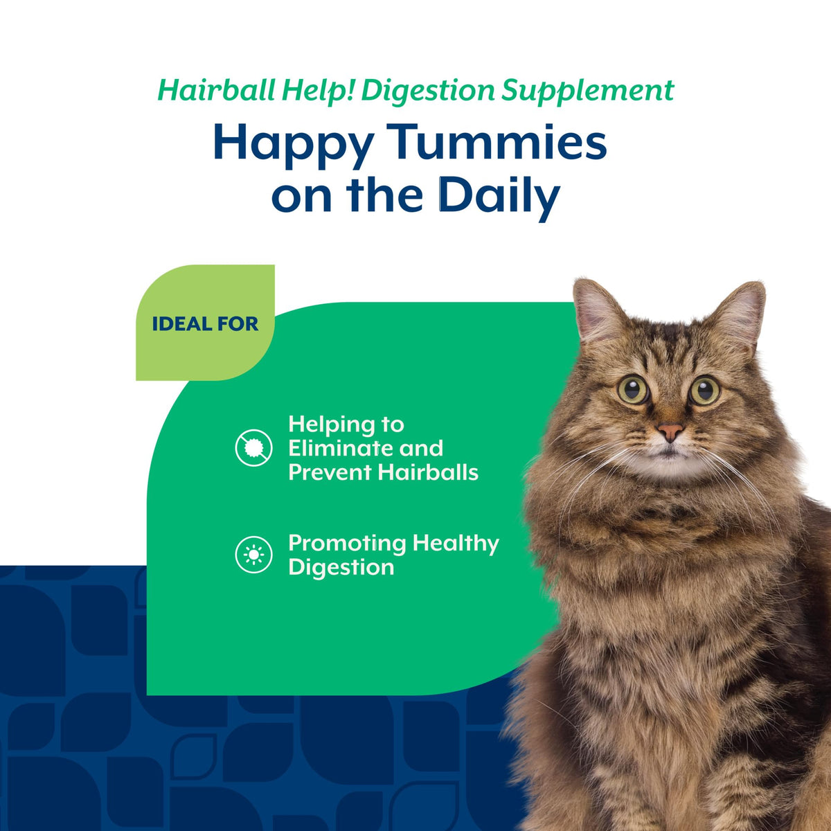 Hairball Aid Supplement for Cats Soft Chews C606