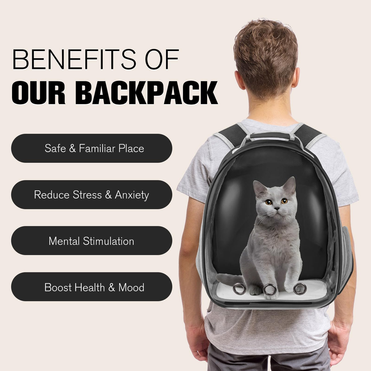 Black Cat Pet Carrier Backpack H233498
