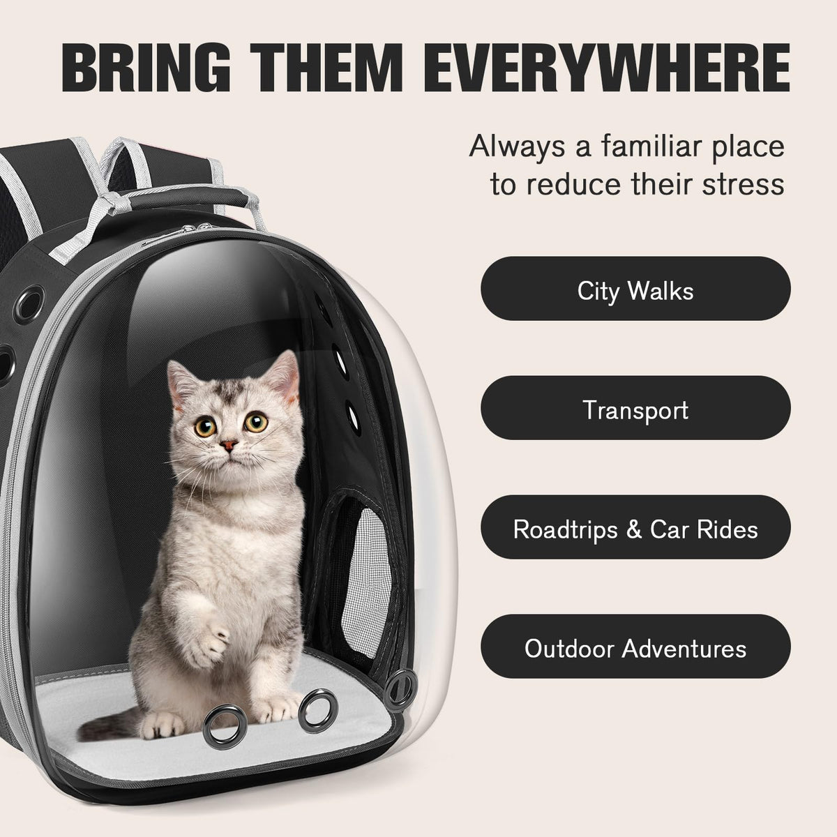 Black Cat Pet Carrier Backpack H233498