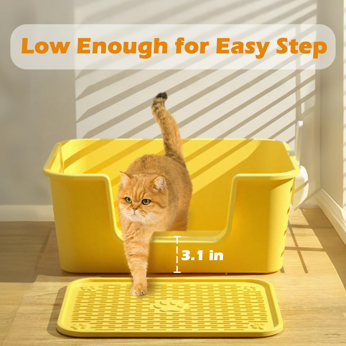 Low Entry High Sides Cat Litter Box C4768