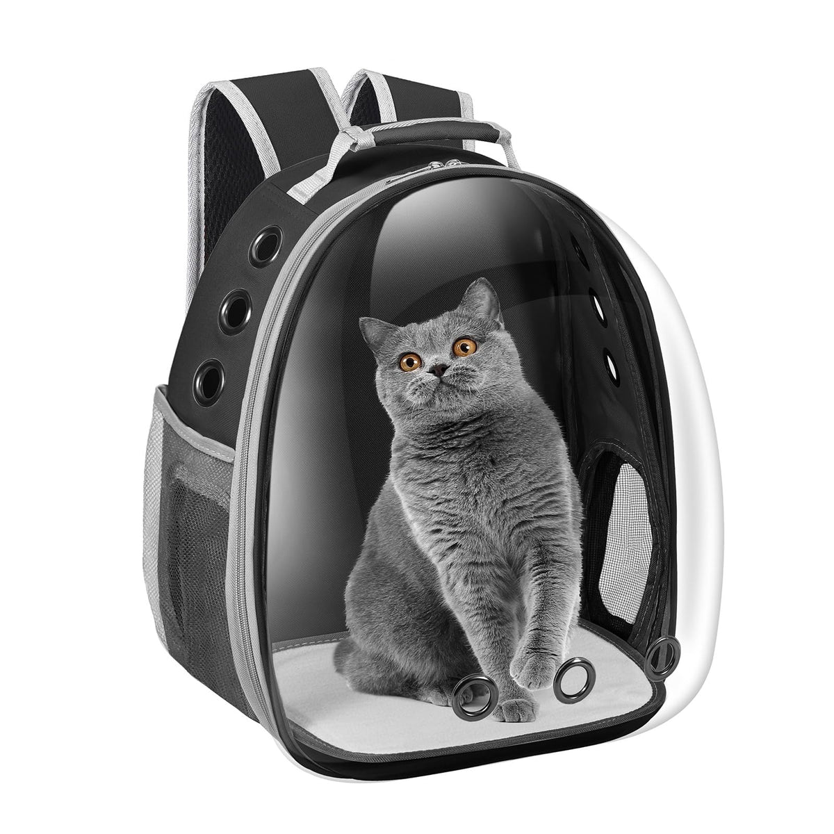 Black Cat Pet Carrier Backpack H233498