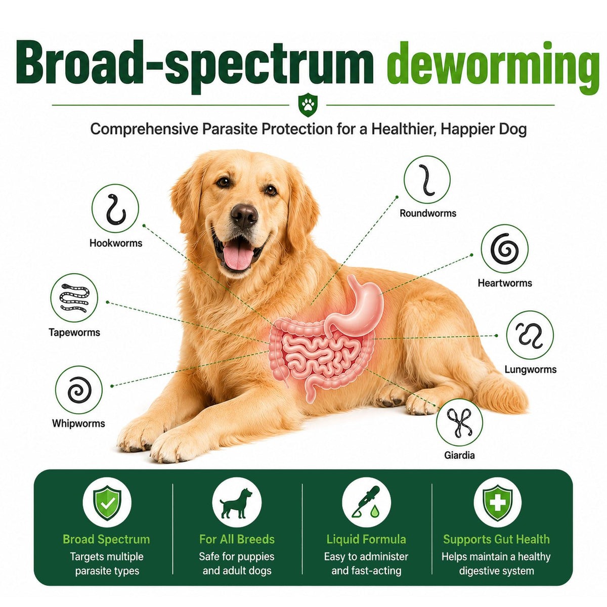 Liquid Broad Spectrum Dog Dewormer 120ml W155