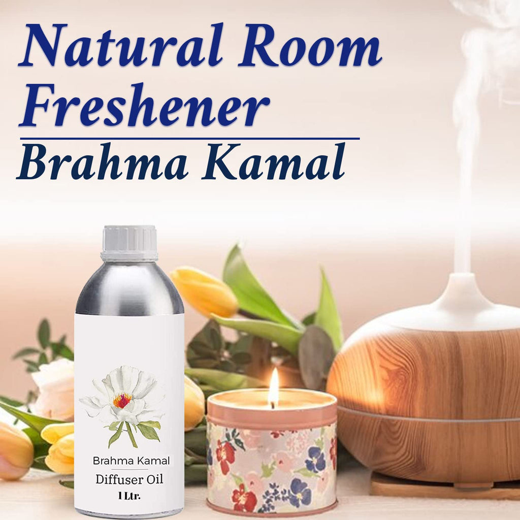 Diffuser Oil 1L J886952