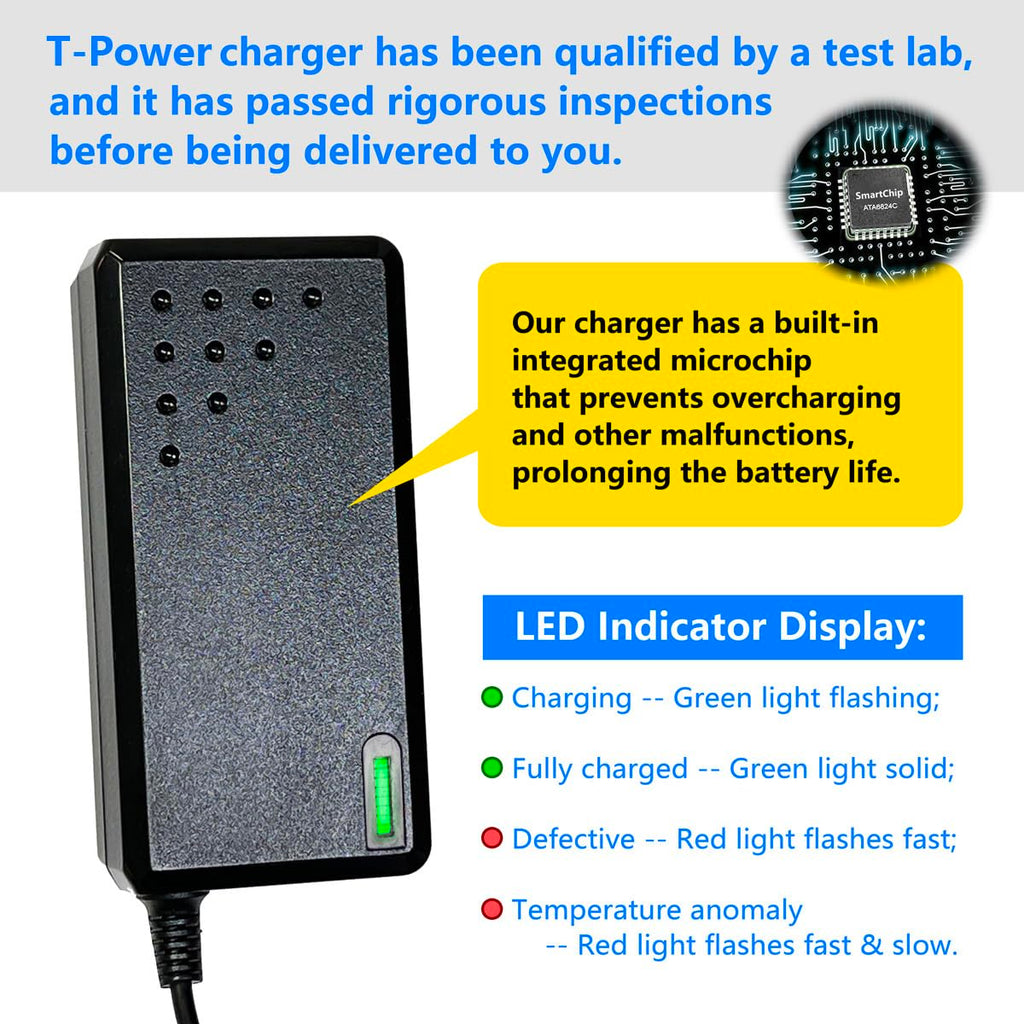 42V Battery Charger for Electric Scooter V970