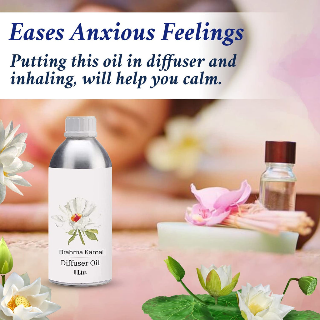 Diffuser Oil 1L J886952