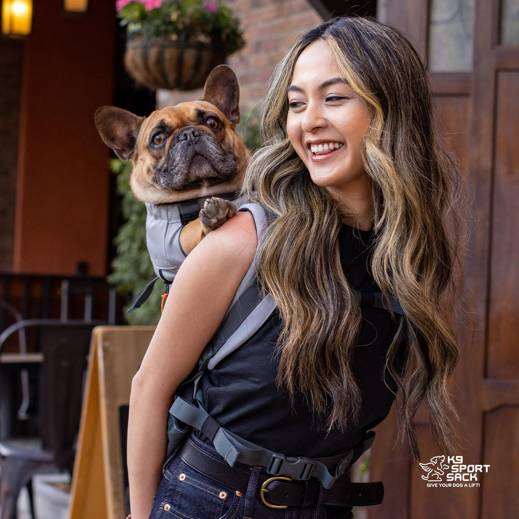 Small Backpack-Style Dog Carrier K8778