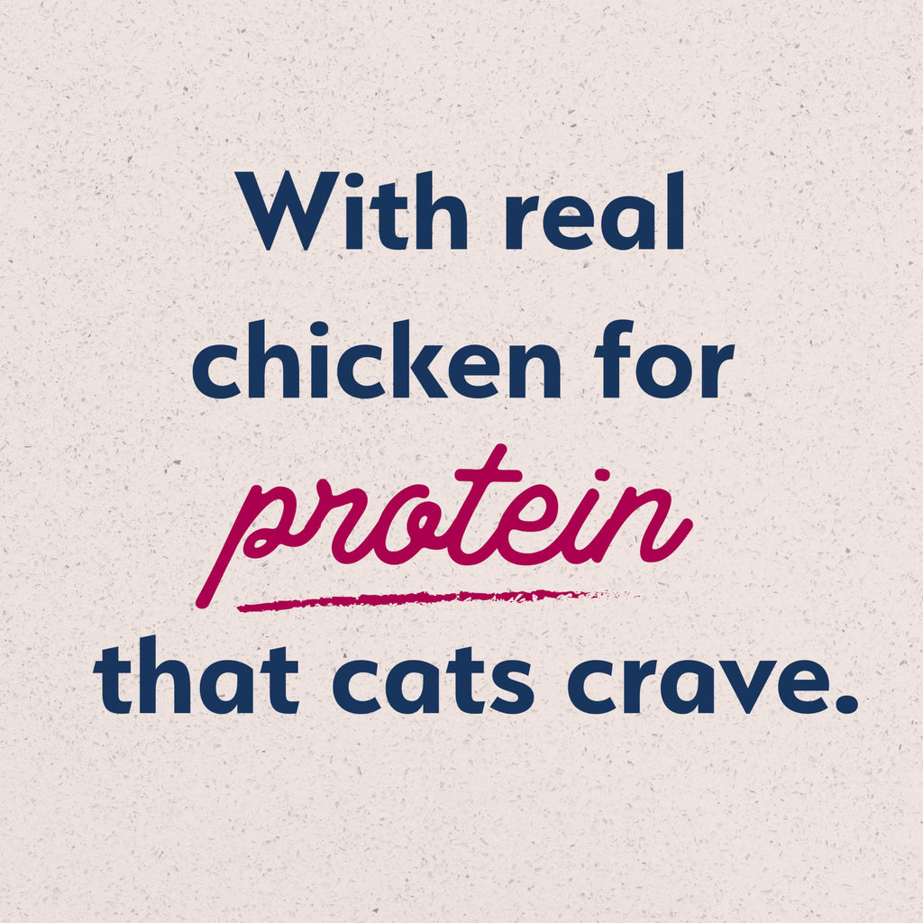 Dry Cat Food Chicken Meal & Salmon Meal 15 lb H266345