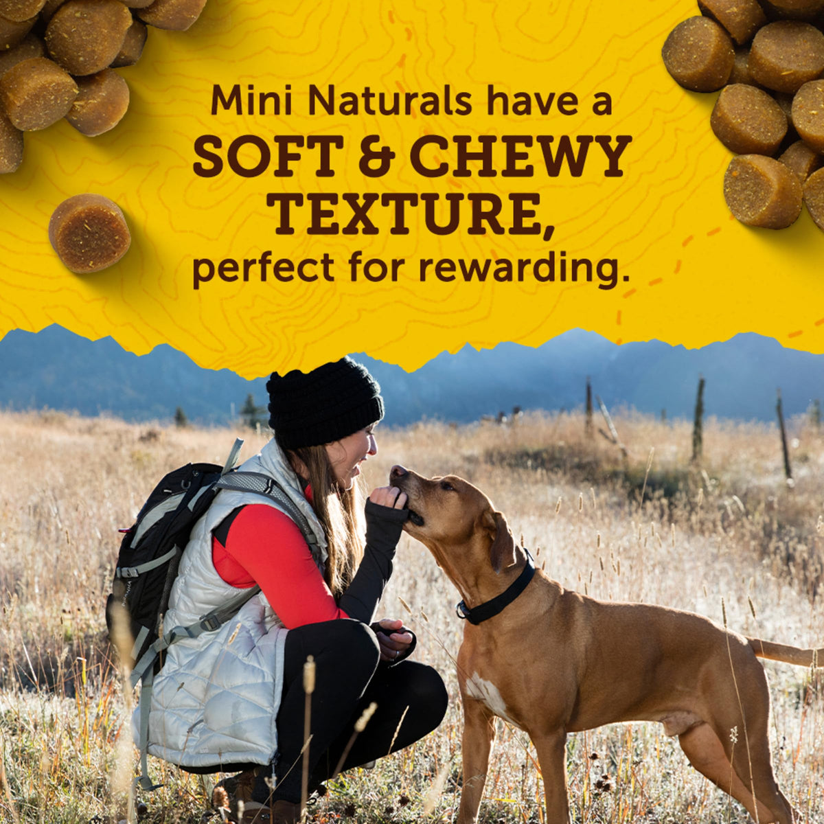 Real Peanut Butter Dog Training Treats 16 oz Z229462