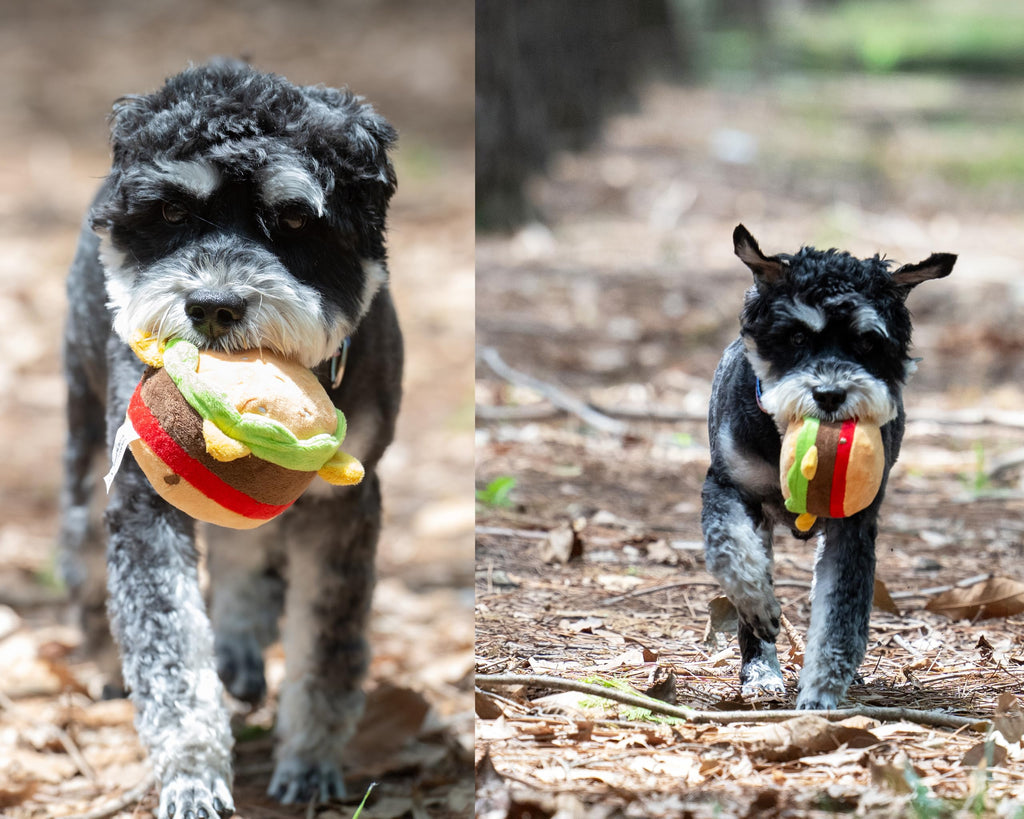 Plush Food Shaped Dog Toy with Squeaker R935